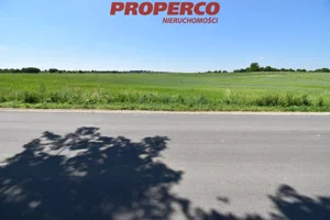 Działka 3 826,00 m², Stopnica, Sprzedaż