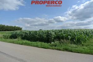 Działka 11 000,00 m², Wiślica, Sprzedaż