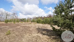 Działka 2 824,00 m², Esterpole, Sprzedaż