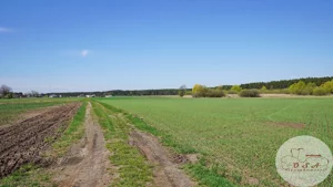 Działka 822,00 m², Młodzikówko, Sprzedaż
