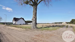Działka 1 264,00 m², Mosina, Sprzedaż