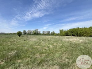 Działka 795,00 m², Głuchowo, Podleśna, Sprzedaż