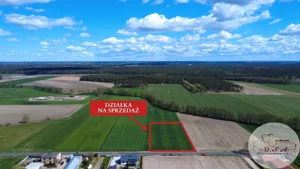 Działka 4 067,00 m², Żabno, Sprzedaż