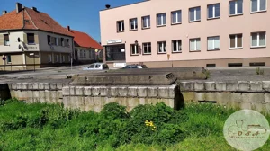 Lokal użytkowy 600,00 m², Miłosław, Różowa, Sprzedaż