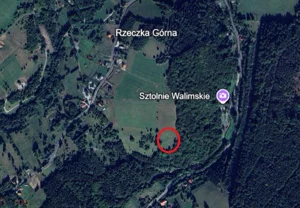 Działka 9 600,00 m², Walim, Adama Mickiewicza, Sprzedaż