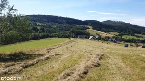 Działka 3 566,00 m², Walim, Adama Mickiewicza, Sprzedaż