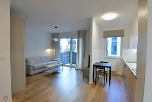 Mieszkanie jednopokojowe 32,00 m², Wrocław, Stare Miasto, Braniborska, Wynajem