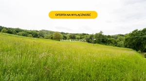 Działka 4 700,00 m², Biskupice, Sprzedaż