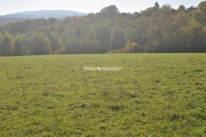 Działka 1 677,00 m², Dobczyce, Sprzedaż
