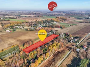 Działka 6 000,00 m², Miechów, Sprzedaż