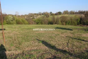 Działka 24 400,00 m², Mogilany, Sprzedaż