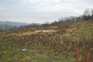Działka 22 100,00 m², Myślenice, Sprzedaż