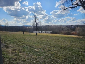 Działka 5 650,00 m², Siepraw, Szkolna, Sprzedaż