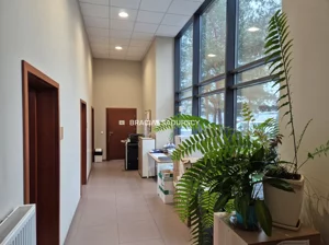 Biuro 95,00 m², Kraków, Bronowice, Wynajem