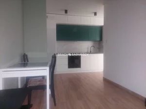 Mieszkanie dwupokojowe 39,00 m², Kraków, Dębniki, Ruczaj, Lubostroń, Wynajem