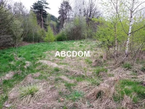 Działka 3 915,00 m², Raciborsko, Sprzedaż