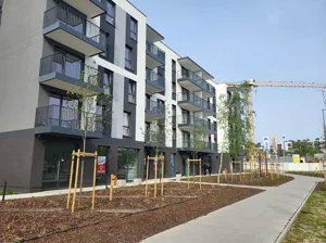 Lokal użytkowy 108,00 m², Warszawa, Praga Południe, Żupnicza, Wynajem