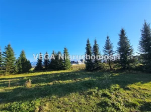 Działka 1 423,00 m², Zakopane, Sprzedaż