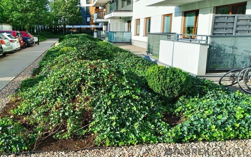 2 pokoje, mieszkanie 37,00 m², piętro 9, oferta nr , 78417/6624/OMS, Warszawa, Ursynów, Ursynów, Kłobucka