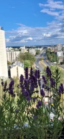 2 pokoje, mieszkanie 56,00 m², piętro 12, oferta nr , 76869/6624/OMS, Warszawa, Praga Południe, Praga Południe, Kobielska