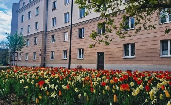 2 pokoje, apartament 52,00 m², piętro 1, oferta nr , 76173/6624/OMS, Warszawa, Śródmieście, Śródmieście, Mordechaja Anielewicza