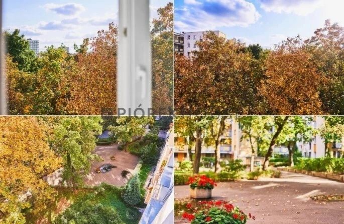 2 pokoje, mieszkanie 37,50 m², piętro 4, oferta nr , 76561/6624/OMS, Warszawa, Praga Południe, Praga Południe, Ostrzycka