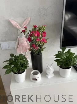 2 pokoje, mieszkanie 41,20 m², piętro 4, oferta nr , 78348/6624/OMS, Warszawa, Włochy, Włochy, Pola Karolińskie