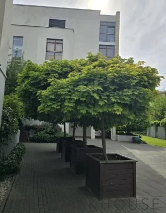 2 pokoje, apartament 54,44 m², piętro 2, oferta nr , 78093/6624/OMS, Warszawa, Ursynów, Ursynów, Stryjeńskich