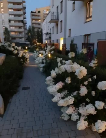 2 pokoje, apartament 49,00 m², parter, oferta nr , 77162/6624/OMS, Warszawa, Bemowo, Bemowo, gen. Tadeusza Pełczyńskiego