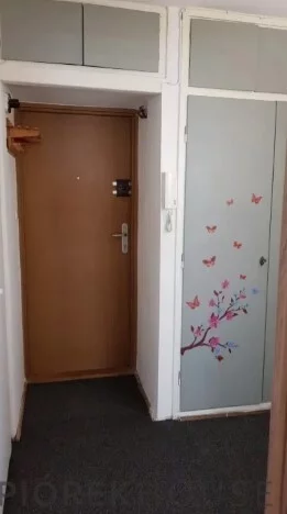 2 pokoje, mieszkanie 37,18 m², piętro 4, oferta nr , 77839/6624/OMS, Warszawa, Wola, Wola, Żelazna