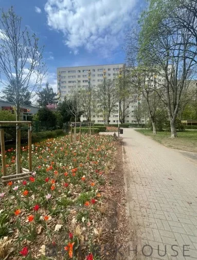 3 pokoje, mieszkanie 51,00 m², piętro 8, oferta nr , 77762/6624/OMS, Warszawa, Mokotów, Mokotów, Bokserska