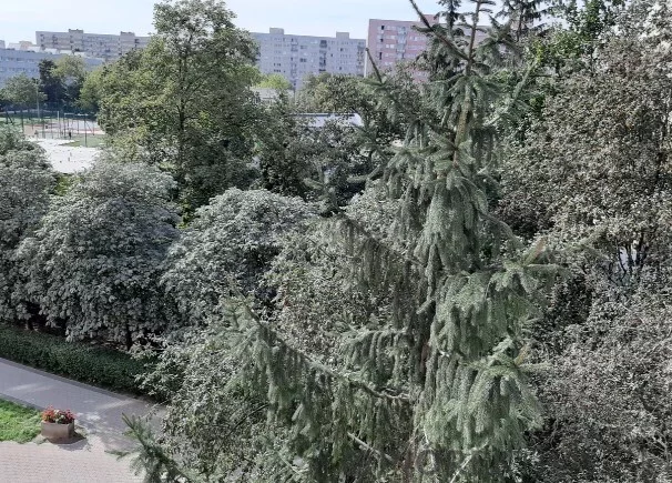 3 pokoje, mieszkanie 47,50 m², piętro 3, oferta nr , 78431/6624/OMS, Warszawa, Targówek, Targówek, Chodecka