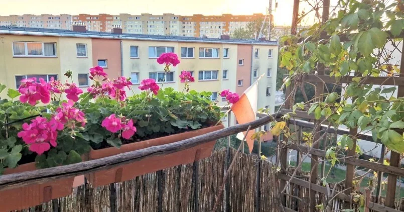 3 pokoje, mieszkanie 51,38 m², piętro 4, oferta nr , 77489/6624/OMS, Warszawa, Bielany, Bielany, Jana Kasprowicza