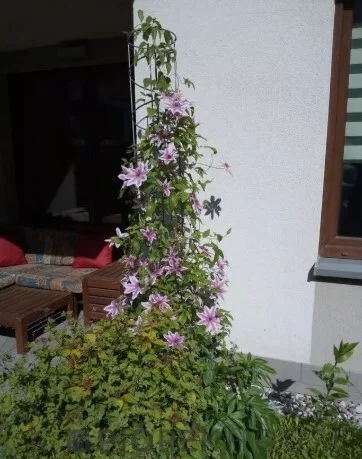 3 pokoje, mieszkanie 60,00 m², parter, oferta nr , 77378/6624/OMS, Warszawa, Praga Południe, Praga Południe, Jana Nowaka-Jeziorańskiego