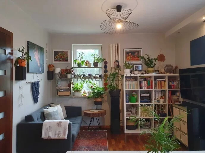 Apartamenty 76497/6624/OMS Ząbki Krucza