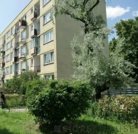 3 pokoje, mieszkanie 45,00 m², piętro 2, oferta nr , 76469/6624/OMS, Warszawa, Wola, Wola, Mordechaja Anielewicza