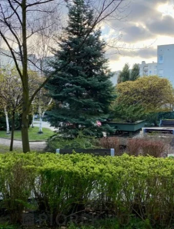 3 pokoje, mieszkanie 69,00 m², parter, oferta nr , 76821/6624/OMS, Warszawa, Ursynów, Ursynów, Nugat