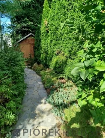 3 pokoje, mieszkanie 84,00 m², parter, oferta nr , 78378/6624/OMS, Warszawa, Włochy, Włochy, Pana Tadeusza