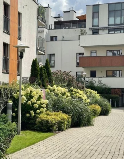 3 pokoje, apartament 47,16 m², piętro 3, oferta nr , 76577/6624/OMS, Warszawa, Wilanów, Wilanów, Sarmacka