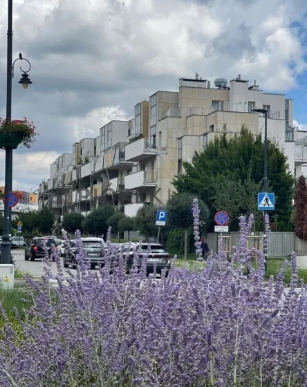 3 pokoje, apartament 47,16 m², piętro 3, oferta nr , 76577/6624/OMS, Warszawa, Wilanów, Wilanów, Sarmacka