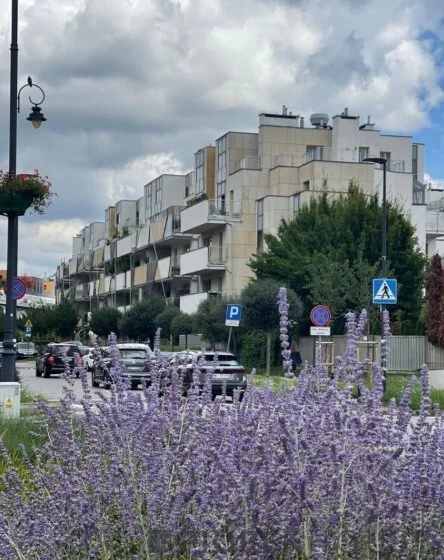 3 pokoje, mieszkanie 47,16 m², piętro 3, oferta nr , 77725/6624/OMS, Warszawa, Wilanów, Wilanów, Sarmacka