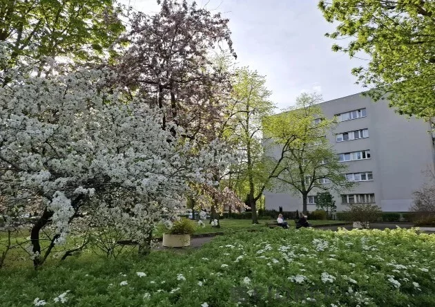 3 pokoje, mieszkanie 59,00 m², piętro 3, oferta nr , 77530/6624/OMS, Warszawa, Bielany, Bielany, Wrzeciono