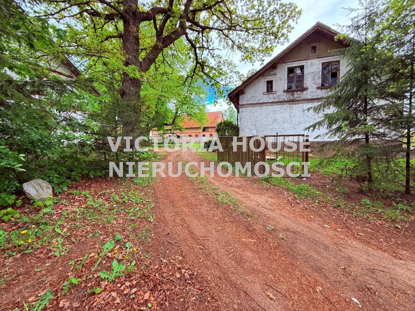 VIC-DS-1068 - zdjęcie nr 1