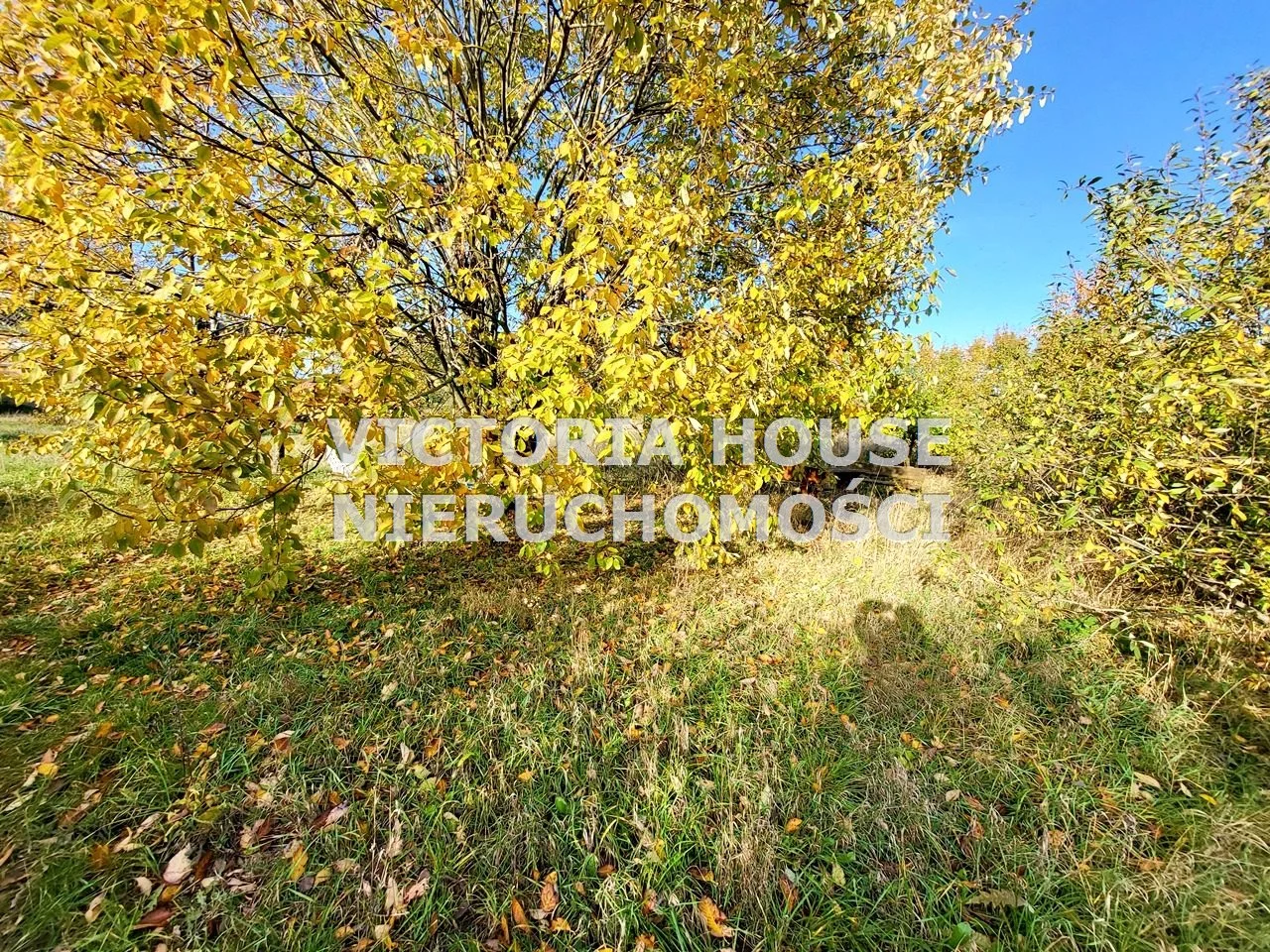 Dom 100,00 m², oferta nr , VIC-DS-1007, Kalinowo