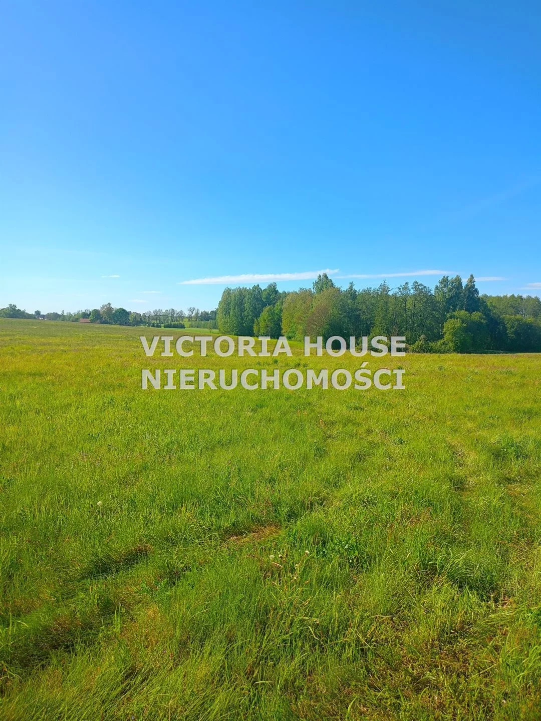 VIC-GS-1069 - zdjęcie nr 0