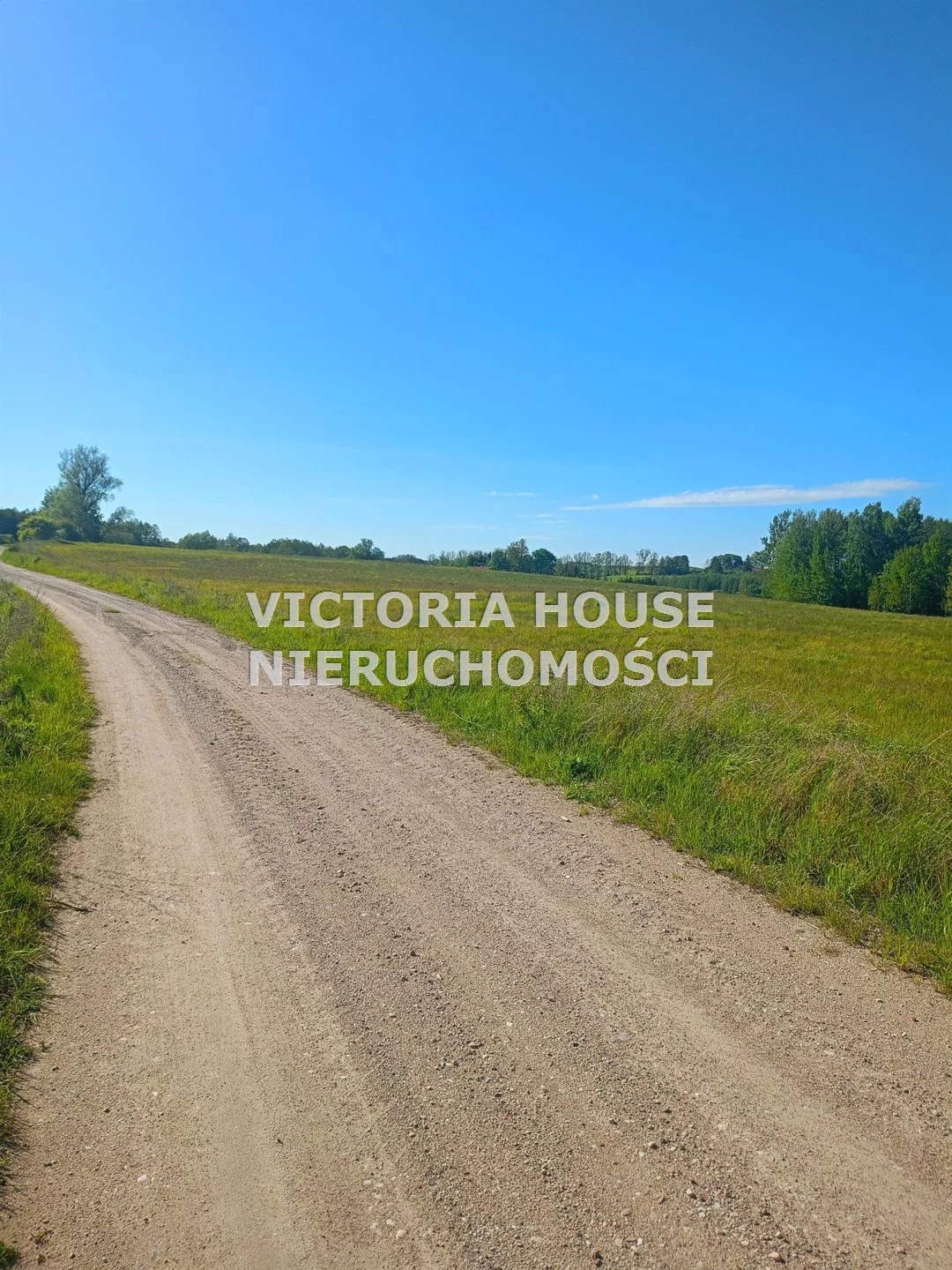 VIC-GS-1069 - zdjęcie nr 1