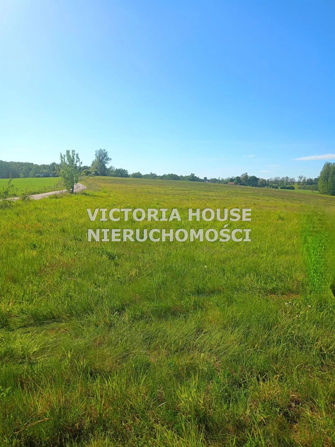 VIC-GS-1069 - zdjęcie nr 2