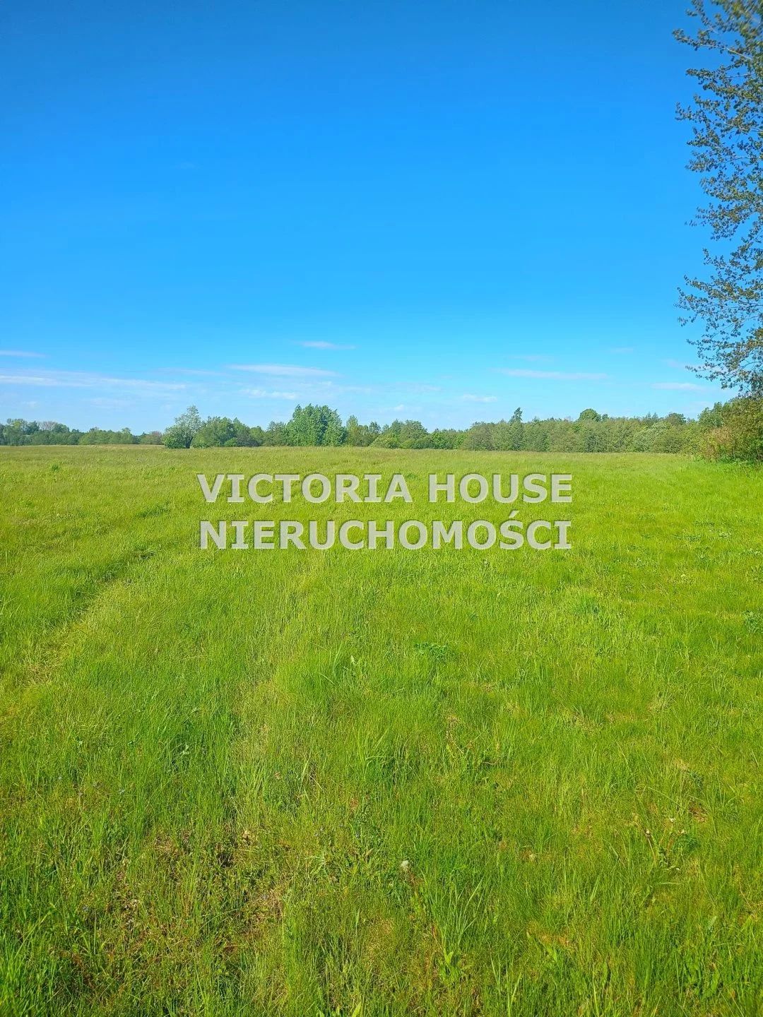 VIC-GS-1069 - zdjęcie nr 3