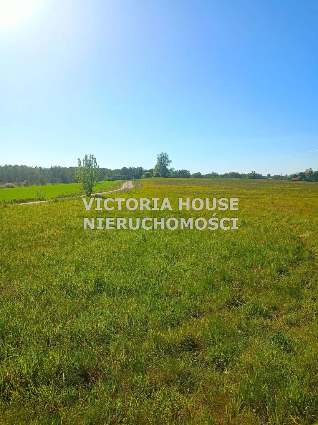 VIC-GS-1069 - zdjęcie nr 4