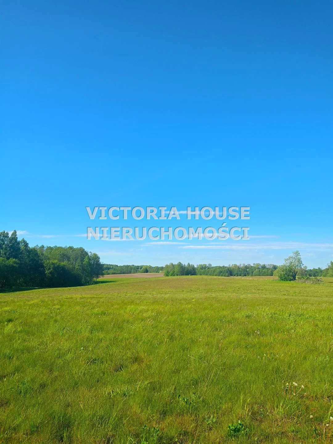 VIC-GS-1069 - zdjęcie nr 5
